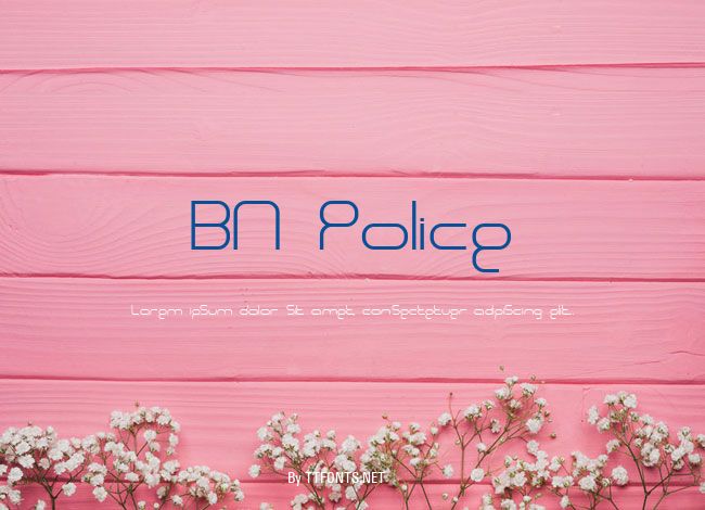 BN Police example